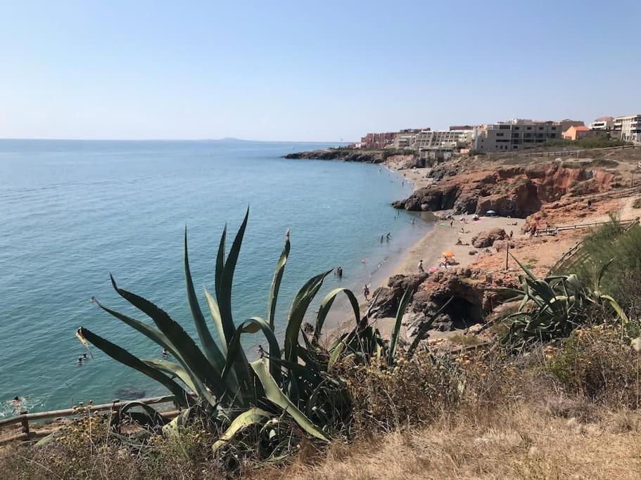Perle D’horizon Marin Sète
